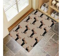 CEDNXOER Washable Door Mats Indoor, Non-Slippery Front Door Mat Cute Dachshund, Super Soft Non Slip Doormat Cartoon Animals, Water Absorbent Floor Beige Mats Entrance Rug 40x60 cm