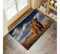 CEDNXOER Washable Door Mats Indoor, Non-Slippery Front Door Mat Huge Highland Cattle, Super Soft Non Slip Doormat Grassland Animals, Water Absorbent Floor Yellow Mats Entrance Rug 60x90 cm