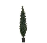CEDRUS - Artificial plant Green