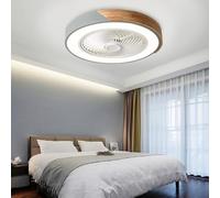 Ceiling Fan Light with Remote Control, Dimmable with 6 Speeds, Mute Operation, Smart Invisible Design for Bedroom and Restaurant