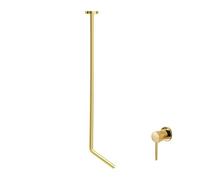 Ceiling Faucet - Modern Luxury Design for Hotel and Home, Single Handle with Double Control, Suspended Installation for Wall Basin