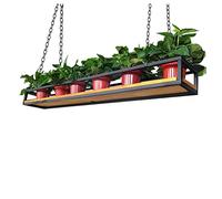 Ceiling Hanging Plant Shelves Floating Flower Pot Holder Wooden Storage Rack for Kitchen Pot Rack Wine Shelf for Bar - Decorative Display for Home Décor