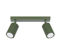 Sollux Lighting Karbon Aluminum Olive Green 2 Lights Minimalist Ceiling Light