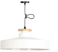 Ceiling Lamp Pendant Light Fixture, Industrial Metal with Wooden Shade, Adjustable Hanging Light for Kitchen Island, Dining Table, Hallway, Indoor Use