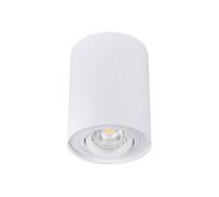 Ceiling light 25W 230V GU10 IP20 in ORD 22551