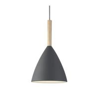 Ceiling Light Grey Pure 20 Nordlux 43293010