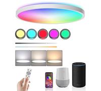 Ceiling Light LED Dimmable Flush Mount Flat RGB Smart Alexa Google Home WiFi with Remote Control for Living Room Bedroom Dinning Kitchen Hallway Bathroom 12Inch 24W White