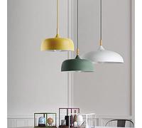 Ceiling Light LED Dining Table Hanging Light Metal One Light Loft Pendant lamp Hanging Lamp Suspension Lamp for Living Room Bedroom Kitchen Bar Restaurant