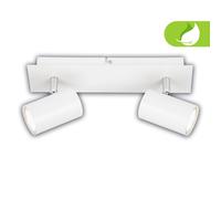 Ceiling Light LED Spotlight GU10 2x 2W 450lm Energy Efficient Adjustable Metal [EEK: A]