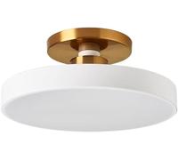 Ceiling Light Round Ceiling Lamp Led Chandelier Flat Light Three-Color Dimmingaron Semi Fmount Modern Metal Acrylic Shade Minimalist Indoor Balcony/E/40Cm/B/30Cm