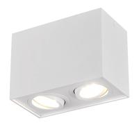Ceiling Light White Biscuit 2 Spot Matt Trio 613000231