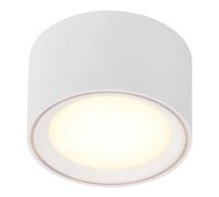 Ceiling Light White Fallon LED 100mm Moodmaker Nordlux 47540101 [EEK: F]