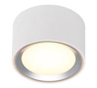 Ceiling Light White Fallon LED White/Brushed Steel 100mm Moodmaker Nordlux
