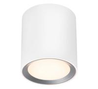 Ceiling Light White Landon LED IP44 125mm Long Smart Nordlux 2110850101 [EEK: F]