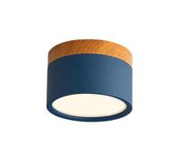 Ceiling Lighting Nordic Style Rounded Ceiling Light Cylindl Dimmable Led Ceiling Lamp Acrylic Flush Mount Close To Ceiling Light Fixtures for Cloakroom Children Bedroom Dining Room Foyer