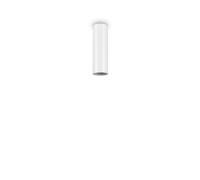 Ceiling spotlight modern design DL0061