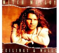 Ceilings & Walls by Mitch Malloy (1994-07-19)