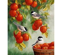 Cekog 5D Diamond Art Painting Kits Bird Fruit, DIY Diamond Painting Art Kit by Number Full Drill Dot Cross Stitch Embroidery Handmade Canvas Pictures, for Home Wall Decor Square Drill 60x80cm