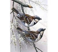 Cekog Paint by Number for Adults,DIY Paint by Numbers Canvas Oil Painting Kits for Kids or Beginner with Brushes Acrylic Pigment Drawing Home Wall Decoration Gifts Sparrow Birds 20x26in Without Frame