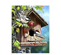 Cekog Paint by Number for Adults,DIY Paint by Numbers Canvas Oil Painting Kits for Kids or Beginner with Brushes Acrylic Pigment Drawing Home Wall Decoration Gifts Bird House 16x20in Framed