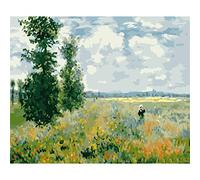 Cekog Paint by Number for Adults,DIY Paint by Numbers Canvas Oil Painting Kits for Kids or Beginner with Brushes Acrylic Pigment Drawing Home Wall Decoration Gifts Famous Flower Field 20x26in Framed