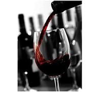 Cekog Paint by Number for Adults,Red Wine Glass DIY Canvas Oil Painting Set,Acrylic Painting by Numbers for Kids Adults Beginner Paint by Numbers for Home Wall Decor Gifts(Framed) 20x26in