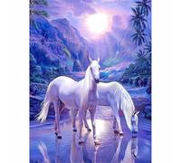 Cekog Paint by Numbers Kit for Adults,12x16in DIY Canvas Oil Painting by Number Kit for Kids Adults,with Brushes and Acrylic Paints Painting for Home Decoration Fantasy Scenic Horse,30x40cm Framed