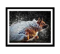 Cekog Paint by Numbers Kit for Adults,40x50cm DIY Canvas Oil Painting by Number Kit for Kids Adults,with Brushes and Acrylic Paints Painting for Home Decoration Water Dog 16x20in Framed