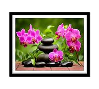 Cekog Paint by Numbers Kit for Adults,40x50cm DIY Canvas Oil Painting by Number Kit for Kids Adults,with Brushes and Acrylic Paints Painting for Home Decoration Orchid Stones 16x20in Framed