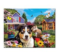 Cekog Paint by Numbers Kit for Adults,50x65cm DIY Canvas Oil Painting by Number Kit for Kids Adults,with Brushes and Acrylic Paints Painting for Home Decoration Garden Dog Squirrel 20x26in Framed