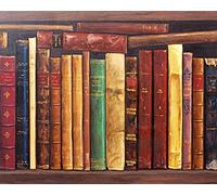 Cekog Paint by Numbers Kit for Adults,50x65cm DIY Canvas Oil Painting by Number Kit for Kids Adults,with Brushes and Acrylic Paints Painting for Home Decoration Bookshelf 20x26in Framed