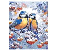 Cekog Paint by Numbers Kit for Adults Beginners,Winter Sparrow Fruits Paint by Number Kits on Canvas,DIY Easy Acrylic Pigment Drawing Paintwork Arts Crafts for Home Wall Decor 18x24in(with Frame)