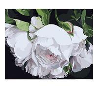 Cekog Paint by Numbers White Flowers,DIY Paint by Numbers Kits for Adults Kids,Canvas Oil Painting Paint by Numbers with Brushes and Acrylic Pigment Arts Craft for Home Wall Decoration 16x20in Framed