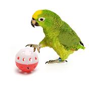 Celan Pet Parrot Toy Colorful Bird Bell Ball For Parakeet Budgie Cockatiel Chew Rabbit Cat Dog Toys Ball