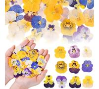 Celblisora 100 Pcs 10 Kinds Natural Dried Pressed Edible Flowers for Cake Topper Decorating-Mix Viola Tricolor for Cupcake Toppers,Cocktails,Resin Jewelry Making,DIY Art Crafts