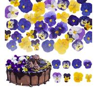 Celblisora 40 Pieces 8 Types of Naturally Dried, Pressed, Edible Flowers for Cake Decorating - Mix of Tricoloured Violas for Cocktails, DIY Crafts