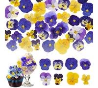 Celblisora 80 Pieces 8 Types Naturally Dried Pressed Edible Flowers for Decorating Cake Toppers - Mix of Tricolor Viola for Cocktails, DIY Crafts