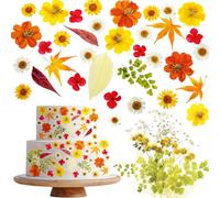 Celblisora 96 Pcs Fall Natural Dried Pressed Flowers for Cake Topper Decorating Cupcake Toppers Cocktails Resin Jewelry Making DIY Art Crafts,Orange Flower Leaf Style