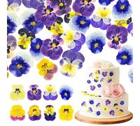 Celblisora 96 Pcs Purple Natural Dried Pressed Edible Flowers for Cake Topper Decorating Cupcake Toppers Cocktails Resin Jewelry Making DIY Art Crafts