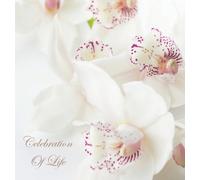 Celebration of Life, in Loving Memory Funeral Guest Book, Wake, Loss, Memorial Service, Love, Condolence Book, Funeral Home, Missing You, Church, Thoughts and in Memory Guest Book (Hardback)