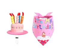 Celebration Wear Set for Pets, B | Plush Cake Hat, Printed Triangle Bandana, Birthday Portrait Decor, Festive Gatherings