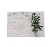 Celebrations Love Story Marriage Plaque And Jar