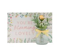 Celebrations The Cottage Garden Blooming Lovely Plaque And Jar Set