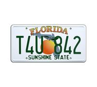 Celebrity Machines 2 Fast 2 Furious | T4U 842 | Metal Stamped License Plate