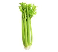 Celery (800 gram)