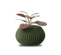 Céleste - Indoor Decorative Pot for Synthetic Plants, Succulents & Cacti - Original Small Mini Plant Pot for Home and Living Room (Matte Green)