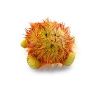 Celestial Buddies The Sun