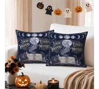 Celestial Maiden and Grimoire Gothic Throw Pillow Covers 12x12 Set of 2