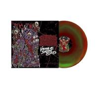 Celestial Sanctuary Visions of Stagnant Blood LP multicolor Onesize