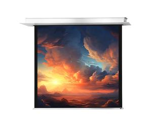 celexon Ceiling Recessed Electric Professional Plus Projector Screen 200 x 200 cm